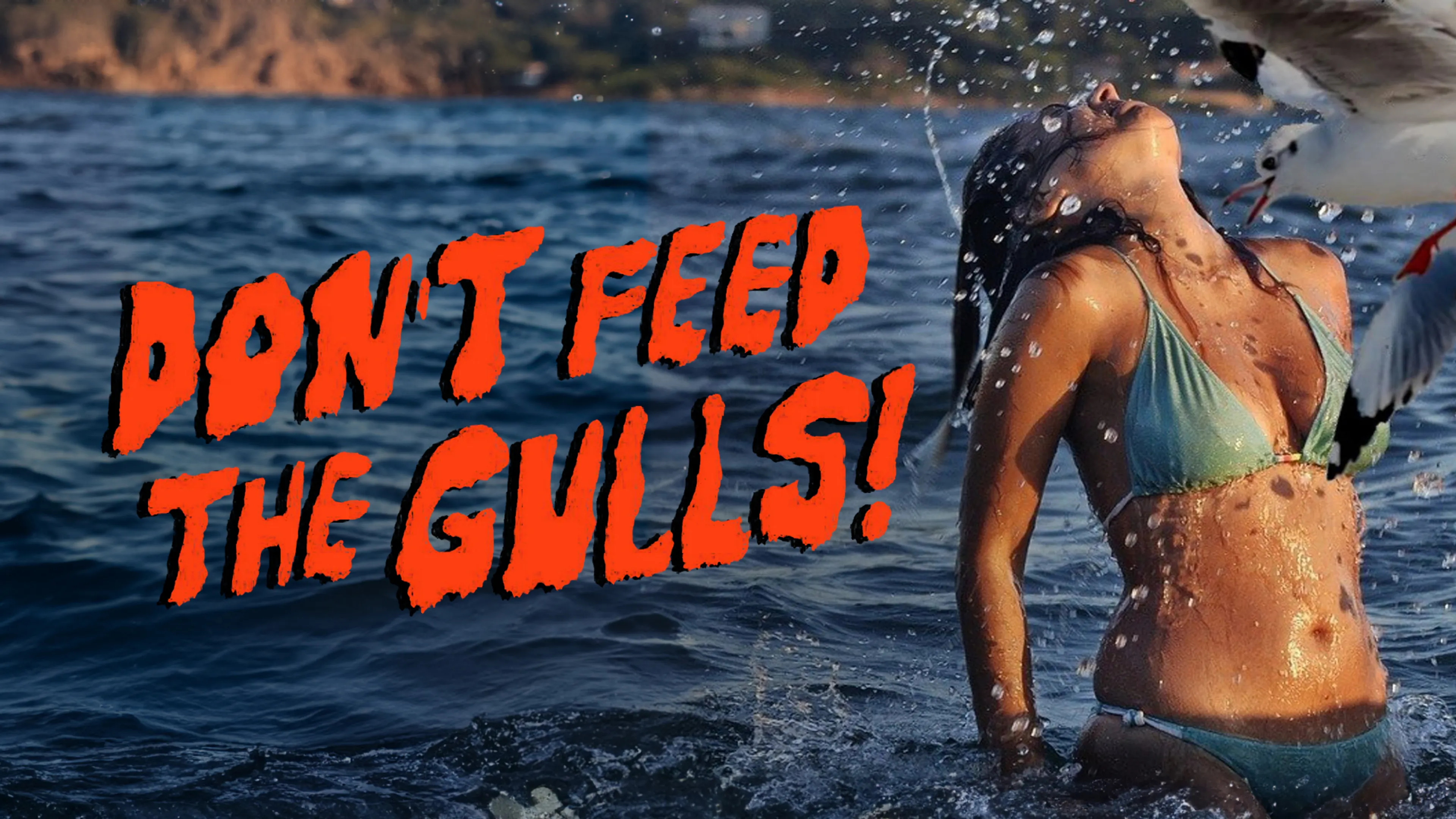 Don’t Feed the Gulls! poster